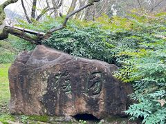 -南山植物园