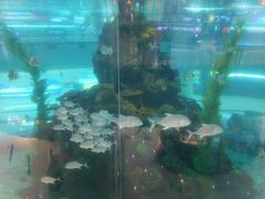 -鸿通城购物中心