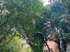 -海心沙亚运公园