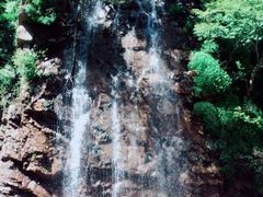 -龙道沟景区