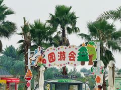 -空港花田景区