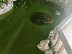 -中苑海韵