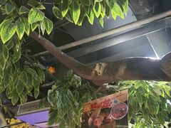 -城墙拐拐火锅(三峡广场黑金冠店)