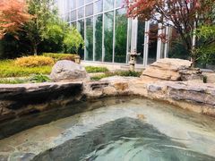 -中家鑫园温泉酒店鑫悦汤泉
