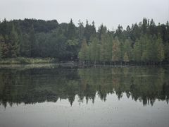 -白鹭湾湿地公园