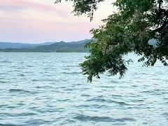 -晓琦农家菜馆·地道农家菜