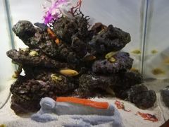 -大明湖海底世界