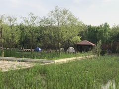 -永定河休闲森林公园