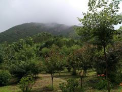 -仙居谷风景区