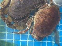 -聚德福海鲜家常菜(刘庄店)