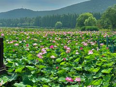 -云龙湖旅游景区