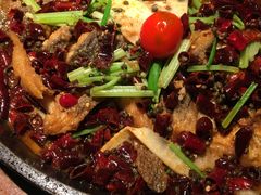 -老板恋上鱼(印象城店)