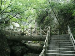 android_upload_pic-牛背梁国家森林公园
