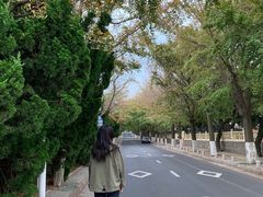 -青岛第三海水浴场