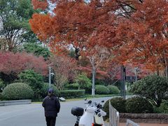 -杭州城北体育公园