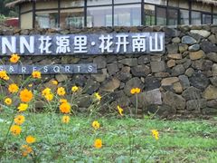 -桑洲油菜花景区
