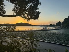 -水上明月·湖景餐厅