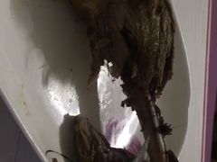 -清真·西域伙伴牛肉面·羊肉串(融创店)
