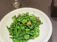 炝拌丝瓜尖-北平盛世·新京菜·北京烤鸭(劲松·双井店)