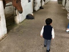 -松声马术俱乐部