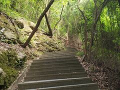 -铁山坪森林公园