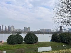 -洋湖国家湿地公园