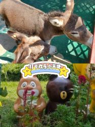 -萌宠亲子动物乐园(槐房万达店)