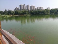 -燕郊植物园