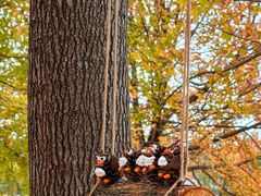 -福州大学(旗山校区)