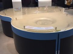 -辽宁省博物馆观众餐厅