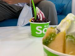 -Salud撒露欧洲冻酸奶(798艺术区店)