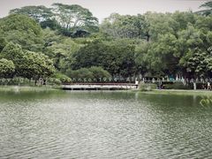 -东莞植物园