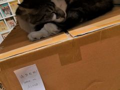 -猫的天空之城概念书店(苏州平江店)