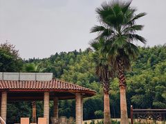 -上海世茂皇家艾美酒店