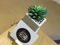 -柴务处·柴犬主题狗咖