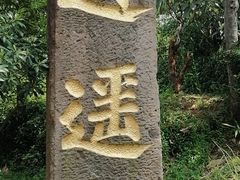 -雨花胜境