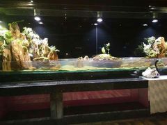 景观位-泰谷酒店·太古码头闽菜自助餐厅