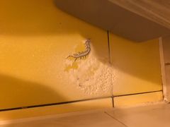 -如家酒店·neo(南京夫子庙店)