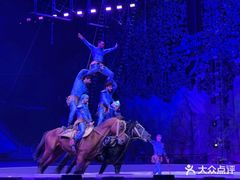 -灵玲国际马戏城