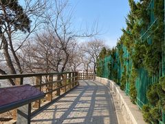 -青岛第三海水浴场