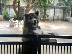 -TrueLove @ Neverland (Husky Cafe)