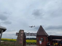 -空港花田景区