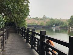 -白马涧龙池景区