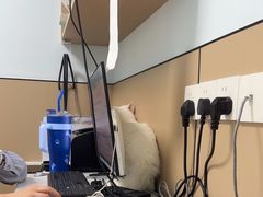 -瑞派伍一宠物医院·眼科·骨科·猫科转诊中心(马王堆院)