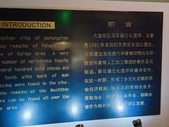 -旅顺博物馆