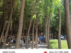 -捞渔河湿地公园