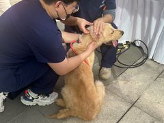 -爱侣宠医·鹦鹉专科·小型哺乳类·异宠专科(灵石路店)