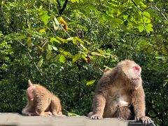 -西岭雪山大飞水景区