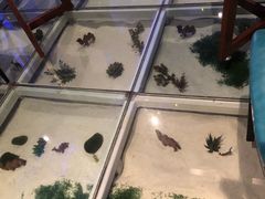 -哈密古丽新疆餐厅(江北融创店)