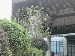 -水底山庄园温泉